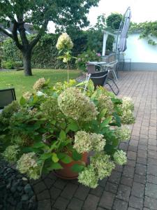 a large pot of flowers sitting on a patio at Ferienwohnung Kirschblüte in Billigheim-Ingenheim
