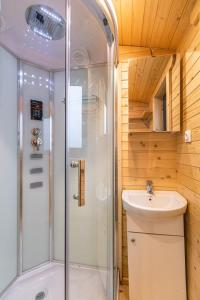 a bathroom with a shower and a sink at La Casuta din Ciocanesti Exclusive in Ciocăneşti
