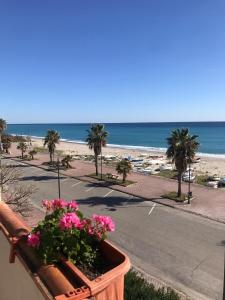 een balkon met uitzicht op het strand en de bloemen bij Ardore, vacanze sul mare in Ardore Marina