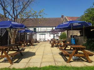 a row of picnic tables with blue umbrellas at The Dog Inn in Bristol