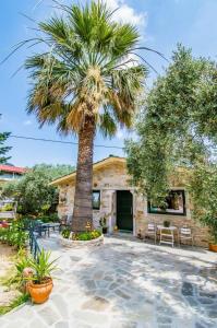 a palm tree in front of a building at Kastro Stone House in Skala Potamias