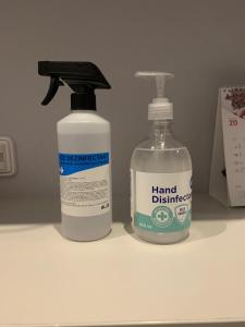 twee flessen desinfectiemiddelen op een aanrecht bij Studio Elizabete 3 in Rīga