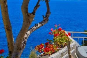 two flowers on a balcony with the ocean in the background at Casa Mamà private access to sea in Santa Flavia