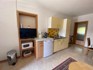 Una pequeña cocina con encimera y televisión. en Apartment Studio Van Bakel Gerard, en Bled
