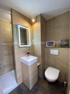 uma casa de banho com um lavatório, um WC e um espelho. em Studio Gare Part Dieu em Lyon