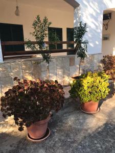 Gallery image of Villa Monica appartamenti in Vieste +75 photos