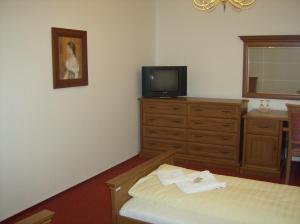 Televízia a/alebo spoločenská miestnosť v ubytovaní Hotel Maria