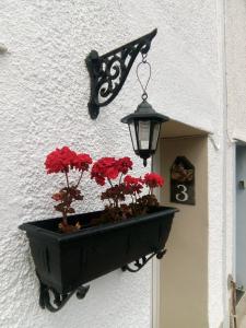 a planter on the side of a building with red flowers at Wales' Highest Village - The Chartist Cottage - Trefil in Tredegar