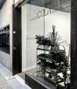 un écran de fenêtre d'un magasin avec des plantes sur celui-ci dans l'établissement Acolá Rooms, à Pontevedra