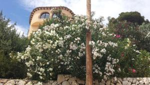 Zahrada ubytování Casa Aguilera