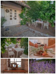 Gallery image of Apartment Ana - Karst Cycling Paradise in Dutovlje