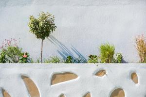 a white wall with some plants on top of it at Acron Suites in Limenaria