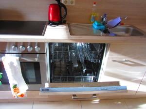 a dishwasher in a cabinet next to a sink at Hansis Lodge in Klingenthal