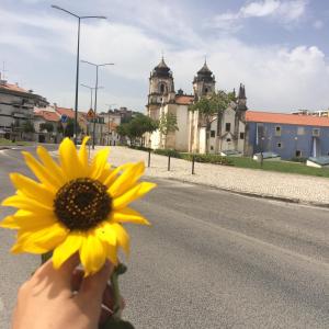 Foto da galeria de Most Art Boutique Hostel em Leiria