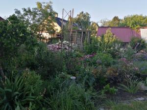 a garden with purple flowers in front of a house at Langøhuset in Langebæk