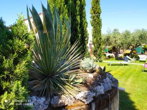 A garden outside Casa Vacanze 4 Pileri
