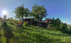 une vieille maison au milieu d'un champ dans l'établissement Rural Médulas Viviendas de uso turistico 1 y 2 y Casas rurales 3 y 4, à Las Médulas