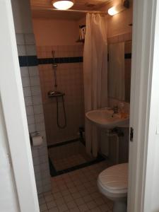 a bathroom with a shower and a toilet and a sink at Langøhuset in Langebæk