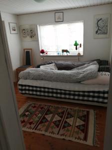 2 camas en una habitación con ventana y alfombra en Langøhuset, en Langebæk