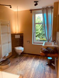 a bathroom with a toilet and a window at KleineAuszeit in Blankenburg