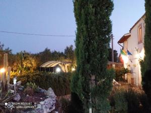 A garden outside Casa Vacanze 4 Pileri