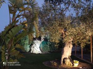 A garden outside Casa Vacanze 4 Pileri