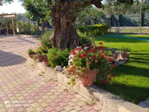 A garden outside Casa Vacanze 4 Pileri