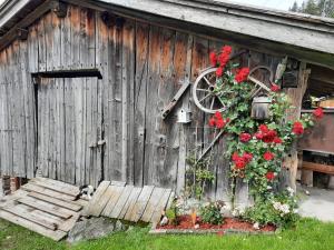 Ogród w obiekcie Ferienwohnungen Rieder
