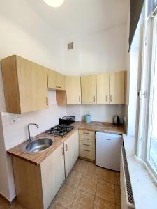 Kuchyň nebo kuchyňský kout v ubytování Apartament Kleopatra