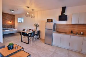 Kuchyň nebo kuchyňský kout v ubytování Apart-House Uniejów