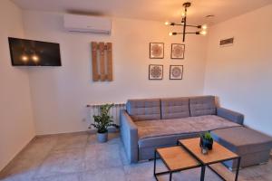 TV a/nebo společenská místnost v ubytování Apart-House Uniejów