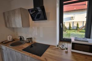 Kuchyň nebo kuchyňský kout v ubytování Apart-House Uniejów