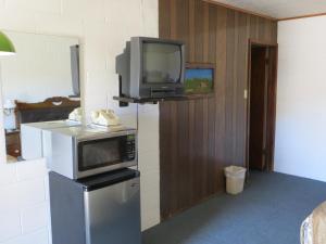 kuchenka mikrofalowa i telewizor na lodówce w obiekcie Alamo Inn w mieście Alamo