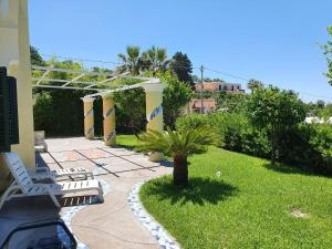 un patio con sillas y una palmera en Exclusive Luxury Villa in Forio, en Isquia