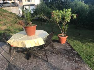 ein Tisch und Stühle mit zwei Topfpflanzen darauf in der Unterkunft Ferienwohnung in Maring-Noviand in Maring-Noviand