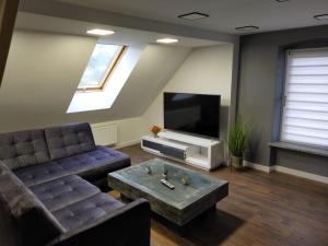 a living room with a couch and a tv at VIP Apartament Sosnówka in Sosnówka