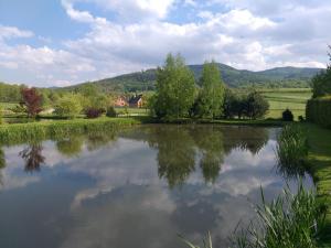 a pond with trees and mountains in the background at VIP Apartament Sosnówka in Sosnówka