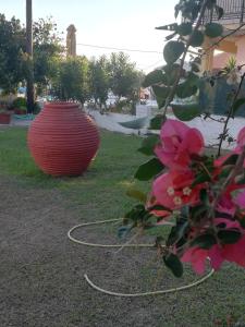 a large red vase sitting on the grass with flowers at Anestis Studios in Agios Georgios