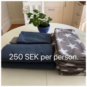 - une table avec deux oreillers et une plante dans l'établissement Malghults Gård, à Kristdala