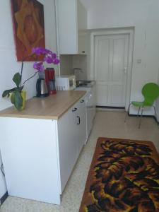 a kitchen with a counter and a table with flowers on it at Apartments Maximillian in Vienna