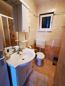 a bathroom with a sink and a toilet at Apartments Solte in Mošćenice