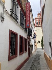 eine schmale Gasse mit roten Fenstern und einem Gebäude in der Unterkunft Hospedería Luis de Góngora in Córdoba