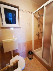 a bathroom with a shower and a toilet and a sink at Apartments Solte in Mošćenice