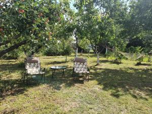 Gallery image of Vila Rio - obronci Fruške Gore in Slankamenački Vinogradi