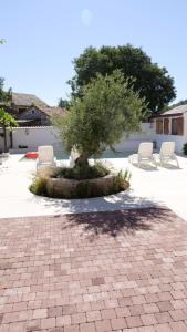 Vonkajšia záhrada v ubytovaní Holiday Home chichichi