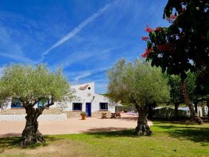 two trees in front of a white building at Villa Mediterraneo Rooms Piscina jardin parking in Blanes