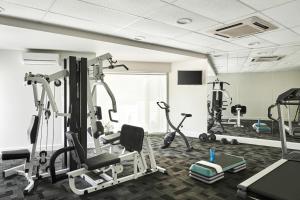 Fitness centrum a/nebo fitness zařízení v ubytování Punthill Essendon