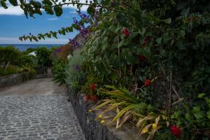 a row of flowers on a retaining wall at Casa da Quinta in Vila Franca do Campo