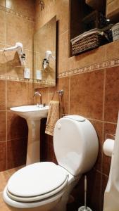 a bathroom with a toilet and a sink at El Buen Descanso in Río Gallegos +47 photos