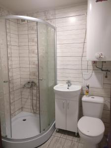 uma casa de banho com um chuveiro, um WC e um lavatório. em 1комнатная квартира em Yuzhne